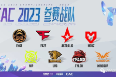 战术博弈 & 深度解析